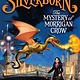 Little, Brown Books for Young Readers Silverborn: The Mystery of Morrigan Crow
