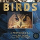 Workman Publishing Company Birds: A Photicular Book