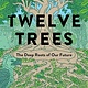 Twelve Trees : The Deep Roots of Our Future