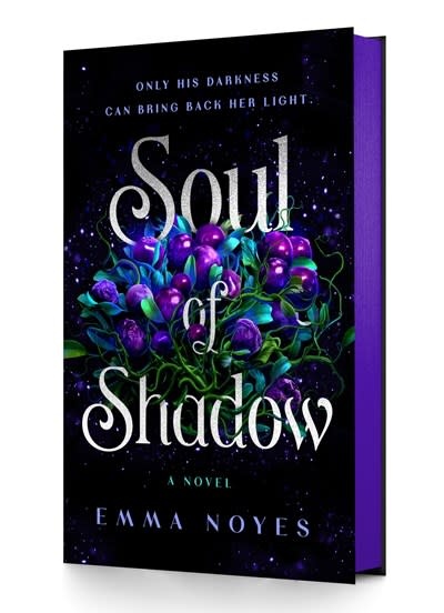 Wednesday Books Soul of Shadow: A Novel