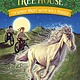 Random House Books for Young Readers Magic Tree House #39: Windy Night With Wild Horses