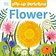 DK Children Pop-Up Peekaboo! Flower