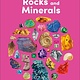 DK Children Eyewonder Rocks and Minerals: Open Your Eyes to a World of Discovery