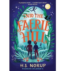 Pushkin Children's Books Into the Faerie Hill