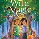 Candlewick Into the Wild Magic