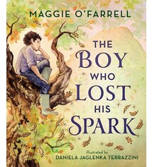 Walker Books US The Boy Who Lost His Spark