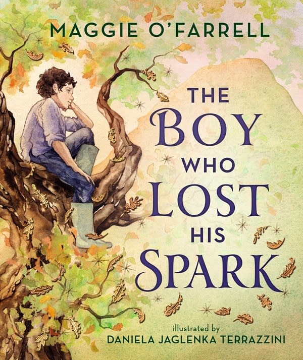 Walker Books US The Boy Who Lost His Spark