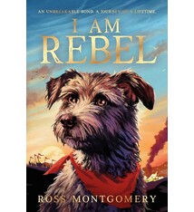 Candlewick I Am Rebel