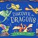 Discover the Dragons: A Memory Game
