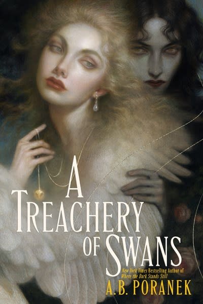 Margaret K. McElderry Books A Treachery of Swans