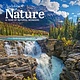 Workman Publishing Company Audubon Nature Wall Calendar 2026: A Year of Breathtaking Vistas