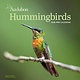 Workman Publishing Company Audubon Hummingbirds Mini Wall Calendar 2026