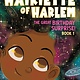 Sourcebooks Young Readers Hairiette of Harlem Book 01 The Great Birthday Surprise!