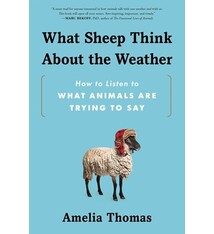 Sourcebooks What Sheep Think About the Weather: How to Listen to What Animals Are Trying to Say