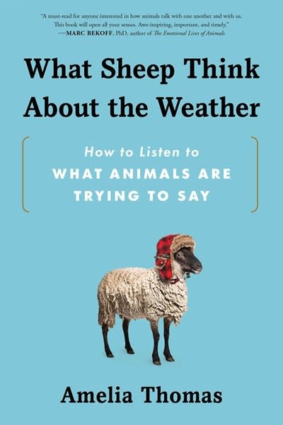 Sourcebooks What Sheep Think About the Weather: How to Listen to What Animals Are Trying to Say