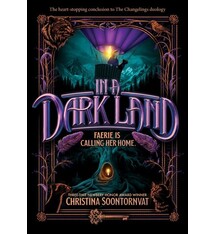 Sourcebooks Young Readers In a Dark Land