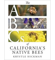 Heyday The ABCs of California's Native Bees