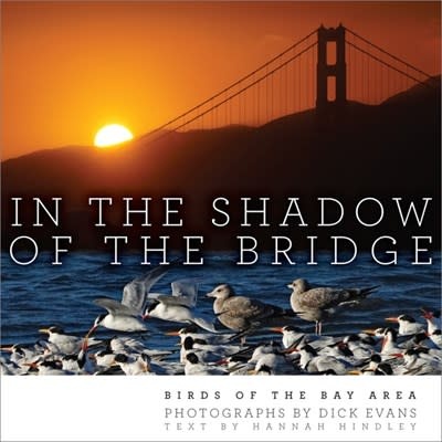 Heyday In the Shadow of the Bridge: Birds of the Bay Area