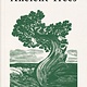 Greystone Books In the Circle of Ancient Trees: Our Oldest Trees and the Stories They Tell