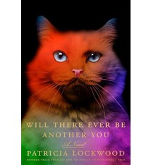 Riverhead Books Will There Ever Be Another You: A Novel