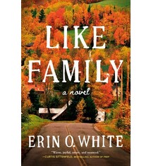 The Dial Press Like Family: A Novel