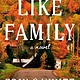 The Dial Press Like Family: A Novel