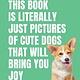 This Book is Literally Just Pictures of Cute Dogs That Will Bring You Joy