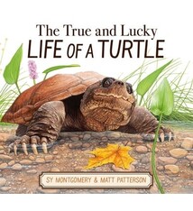 Clarion Books The True and Lucky Life of a Turtle