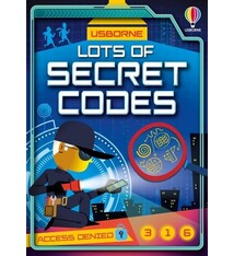 Usborne Lots of Secret Codes