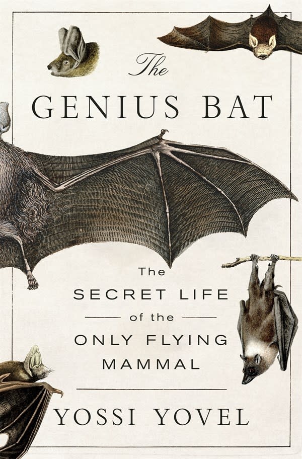 St. Martin's Press The Genius Bat: The Secret Life of the Only Flying Mammal