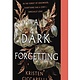 Wednesday Books A Dark Forgetting: A Novel