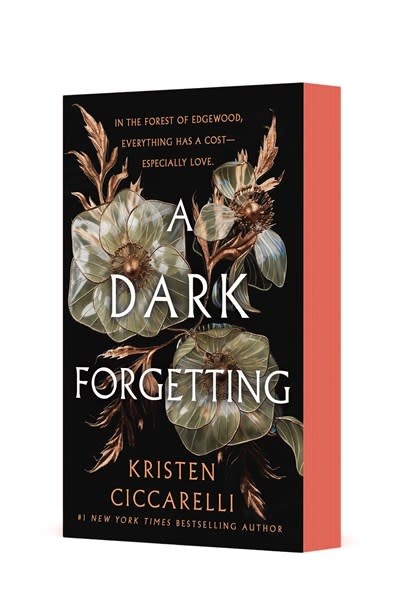 Wednesday Books A Dark Forgetting: A Novel
