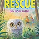 Bloomsbury Children's Books How to Save an Owl