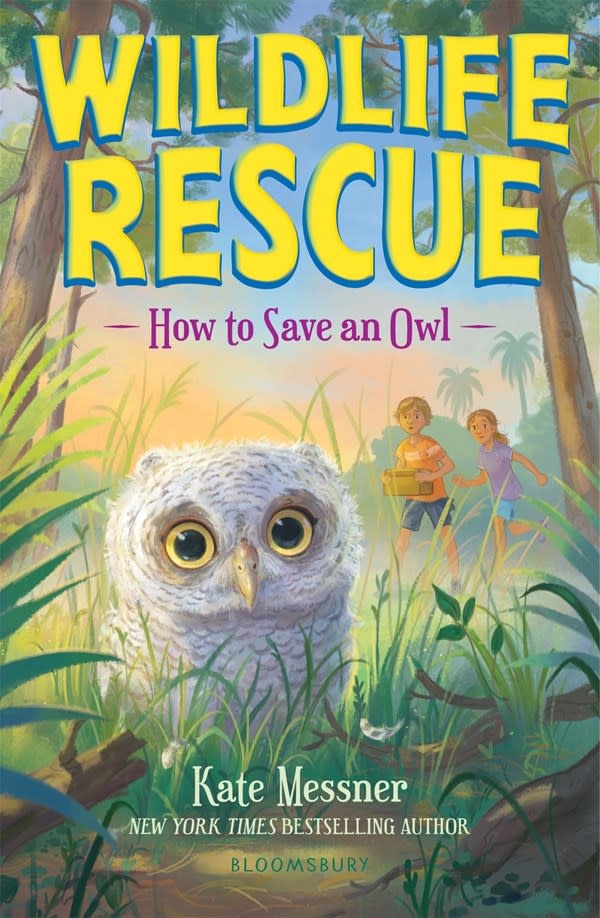 Bloomsbury Children's Books How to Save an Owl