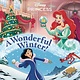 RH/Disney A Wonderful Winter! (Disney Princess)