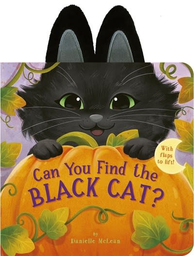 Tiger Tales Can You Find the Black Cat?: With flaps to lift!