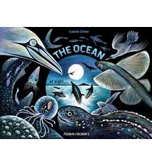 Pushkin Children's Books The Ocean at Night