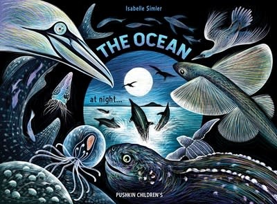 Pushkin Children's Books The Ocean at Night