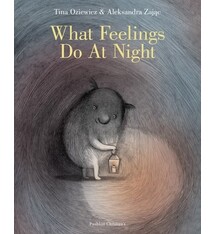 Pushkin Children's Books What Feelings Do At Night