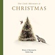 Paige Tate & Co Our Little Adventure at Christmas: Featuring Foundational Language Concepts and Lessons on the Joy of Giving