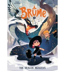 Brume, Volume 1: The Dragon Awakens