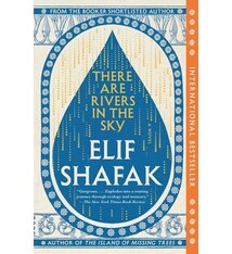 Vintage There Are Rivers in the Sky: A Novel