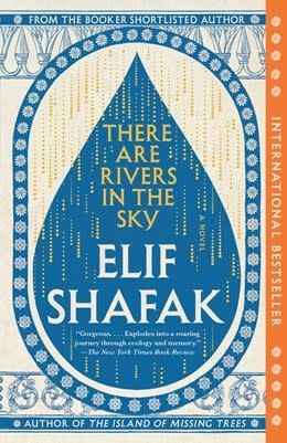 Vintage There Are Rivers in the Sky: A Novel