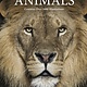 Amber Books Encyclopedia of Animals