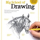 Big School of Drawing: Well-explained, practice-oriented drawing instruction for the beginning artist
