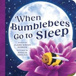 Sourcebooks Explore When Bumblebees Go to Sleep