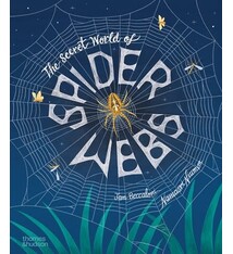 The Secret World of Spiderwebs