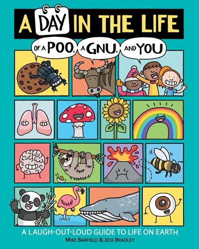Aladdin A Day in the Life of a Poo, a Gnu, and You