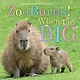 Beach Lane Books ZooBorns! When I'm Big