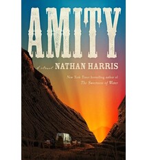 Little, Brown and Company Amity: A Novel